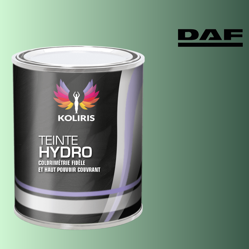 Peinture utilitaire - camion hydro Daf